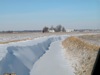 local picture