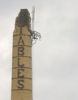 local picture