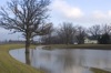 local picture