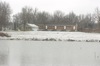 local picture