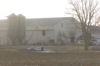 local picture
