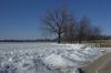 local picture