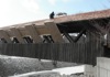 local picture