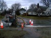 local picture