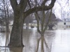 local picture