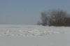 local picture