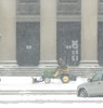 local picture