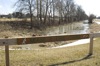 local picture
