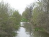 local picture