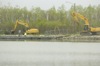 local picture