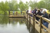 local picture