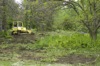 local picture