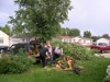 local picture