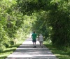 local picture