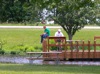 local picture