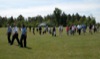 local picture