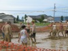 local picture