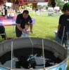 local picture
