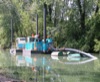local picture