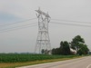 local picture