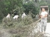 local picture