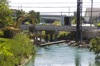 local picture