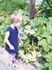local picture