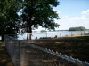 local picture