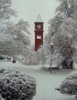 local picture