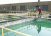 local picture