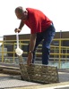local picture