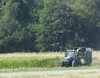 local picture