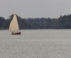 local picture