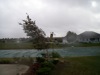 local picture