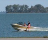 local picture