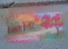 local picture