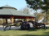 local picture