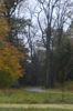 local picture