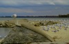 local picture