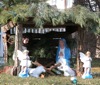 local picture