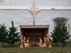 local picture