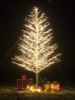 local picture