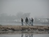 local picture
