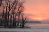 local picture