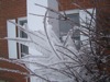 local picture
