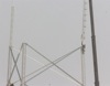 local picture