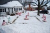 local picture