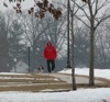 local picture