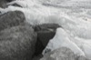 local picture