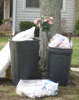 local picture
